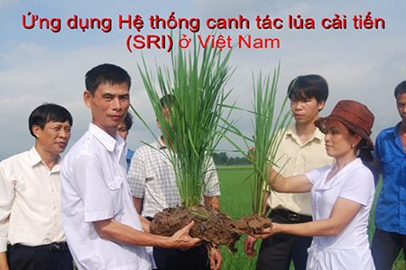 1033-ng-dng-h-thng-canh-tc-la-ci-tin-sri-vit-nam-1-728