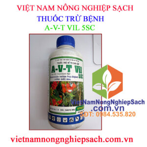 A-V-T-VIL-5SC-CHAI-500ML