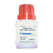 cruiser-plus-312-5-fs