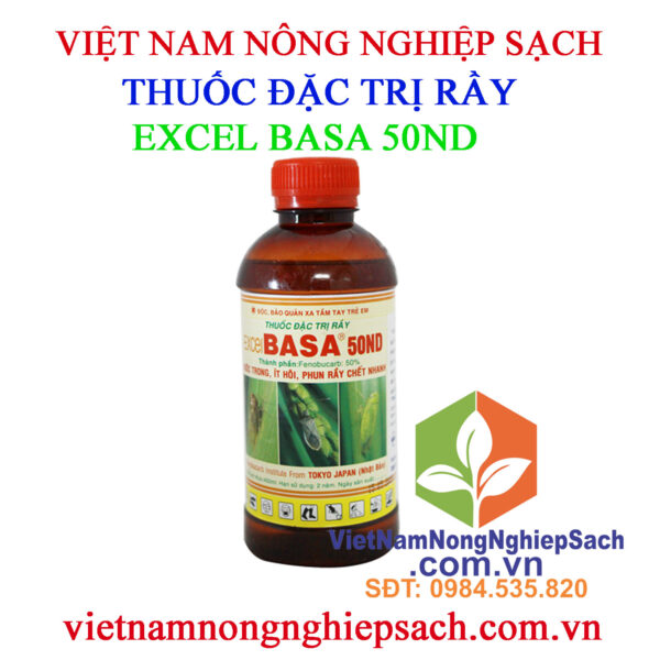 EXCEL-BASA-50ND