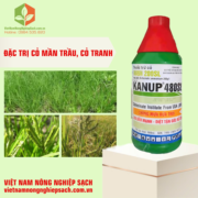 KANUP 480SL (2)