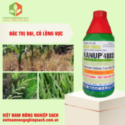 KANUP 480SL (3)
