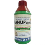 kanup-480sl-900-ml