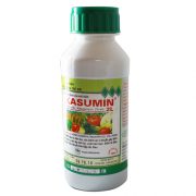 kasumin-2l