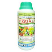 kata-2l