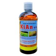 kian-50-ec