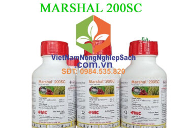 MARSHAL 200SC – ĐẶC TRỊ SÂU ĐỤC THÂN, RẦY NÂU, BỌ TRĨ  GÂY HẠI TRÊN CÂY TRỒNG