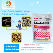 MARSHAL 5GR - vietnamnongnghiepsach.com.vn 1