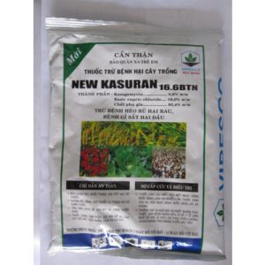 new-kasuran-16-6btn