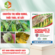 NORSHIELD 86.2WG - vietnamnongnghiepsach.com.vn 2