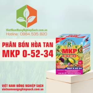 PHÂN BÓN HÒA TAN MKP 0-52-34