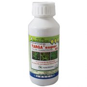 targa-super-5ec