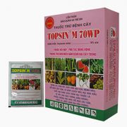 THUỐC TRỪ BỆNH TOPSIN M 70WP