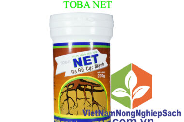 TOBA NET – THUỐC KÍCH RỄ ĐƯỢC SỬ DỤNG PHỔ BIẾN NHẤT HIỆN NAY