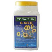 toba-sun-8-58-8