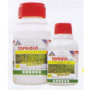 TOPGOLD-600D-300x300