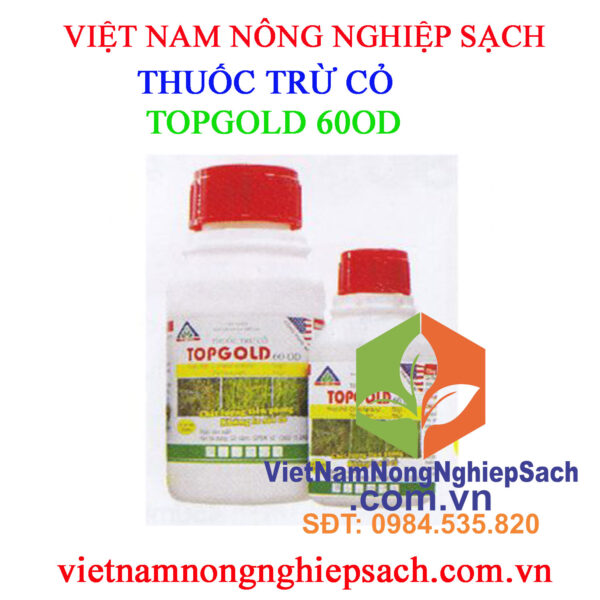 TOPGOLD-60OD