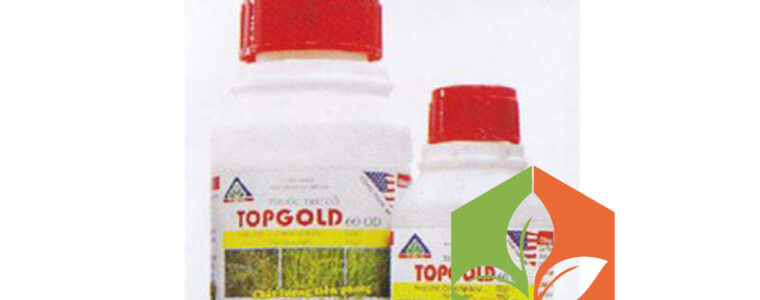 TOPGOLD-60OD