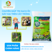 TOXBAIT 60AB - vietnamnongnghiepsach.com.vn 2
