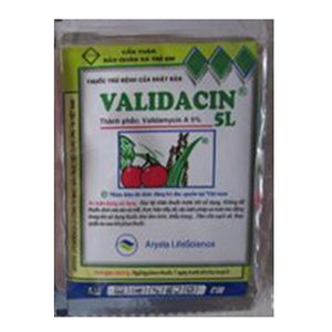 VALIDACIN-5L-300x300