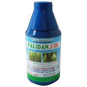 validan-3dd