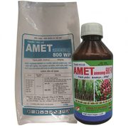 amet-annong-thuốc-trừ-cỏ-trên-ruộng-mía