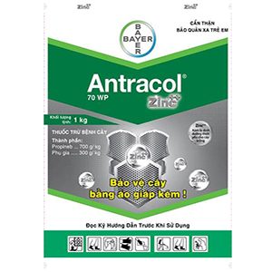 antracol120416.ashx