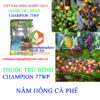 CHAMPION-77WP-NAM-HONG