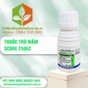 SCORE - vietnamnongnghiepsach.com.vn 3