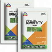 BOMBER TSC 500WP - THUỐC TRỪ BỆNH