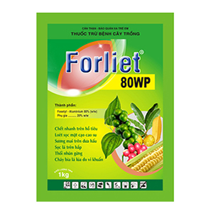 Forliet-80WP