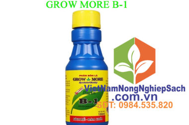 PHÂN BÓN LÁ GROW MORE B1 – KÍCH RỄ ĐÂM CHỒI CHO CÂY TRỒNG