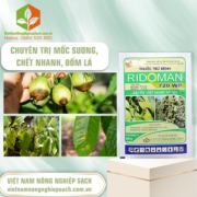 RIDOMAN 720WP - vietnamnongnghiepsach.com.vn 1