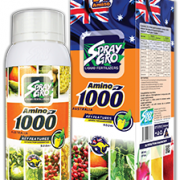 amino1000 - TĂNG CƯỜNG KHẢ NĂNG ĐẬU QUẢ