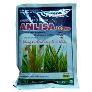 anlisa