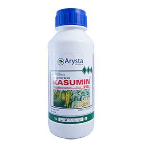 kasumic-2sl-300x300