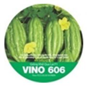 KHỔ QUA F1 VINO 606