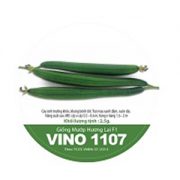 vino 1107