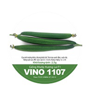 vino 1107