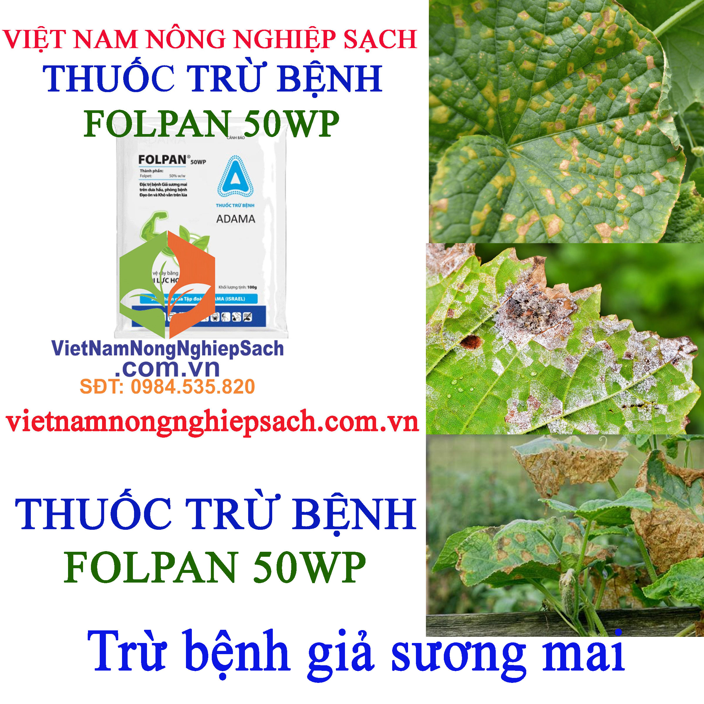 FOLPAN-50WP-giả-sương-mai