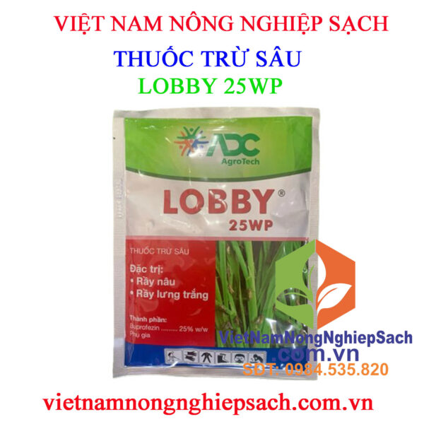 LOBBY-25WP