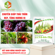 NPK 7-5-44+TE​ - vietnamnongnghiepsach.com.vn 2