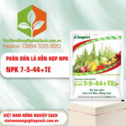 NPK 7-5-44+TE​ - vietnamnongnghiepsach.com.vn 3