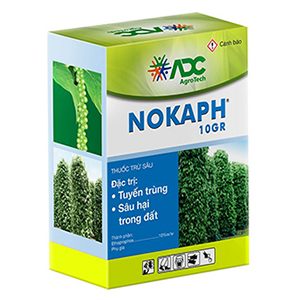 Nokaph-10GR