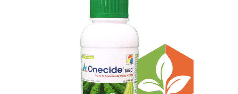 ONECIDE-15EC