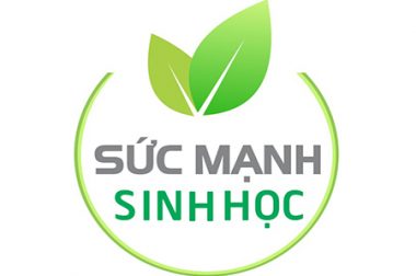 SỨC MẠNH SINH HỌC KỲ 95: NÂNG CAO NĂNG SUẤT VÀ PHẨM CHẤT LÚA VỤ HÈ THU