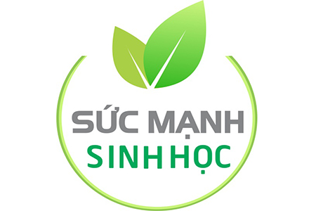 SỨC MẠNH SINH HỌC KỲ 35: QUẢN LÝ BỆNH CHÁY BÌA LÁ TRONG MÙA MƯA