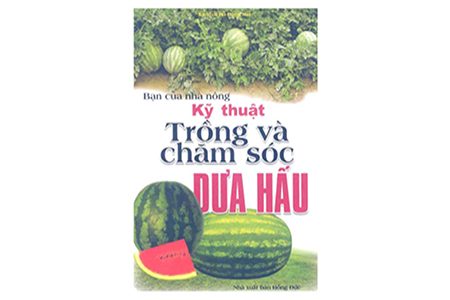 ky-thuat-trong-va-cham-soc-dua-hau