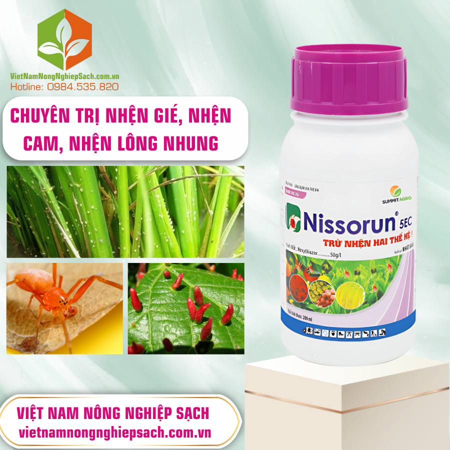 NISSORUN 5EC