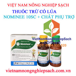 NOMINEE-10SC+-CHẤT-PHỤ-TRỢ